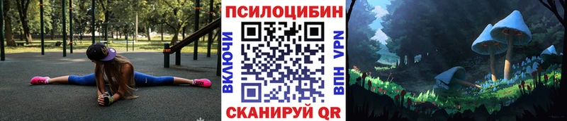 Псилоцибиновые грибы мицелий что такое наркотик Ершов